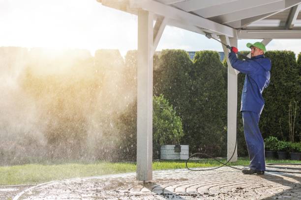 Animal Enclosure Cleaning in Hamilton College, NY